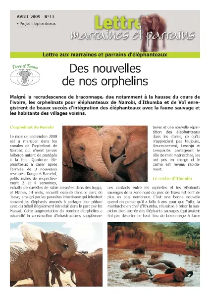 Lettre éléphanteaux 11
