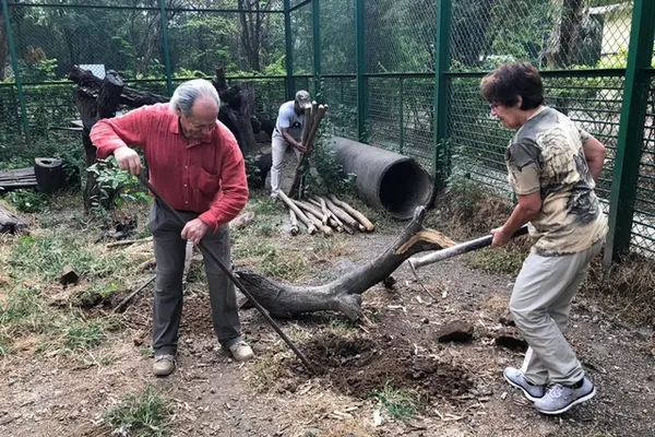 Angelina Leuthold et Pierre Challandes, membres Terre et Faune, creusent un trou...