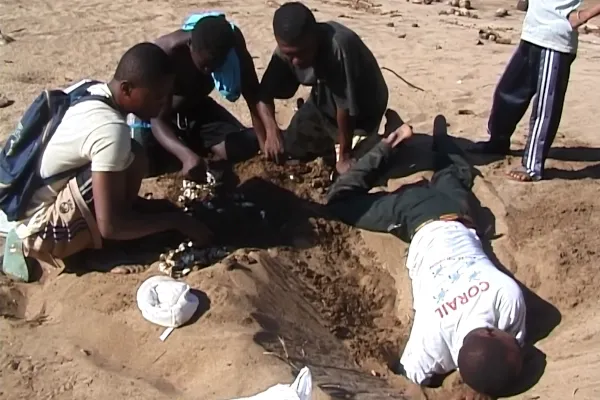 Ecogarde fouille nid, les autres tries les oeufs en recherche de survivant