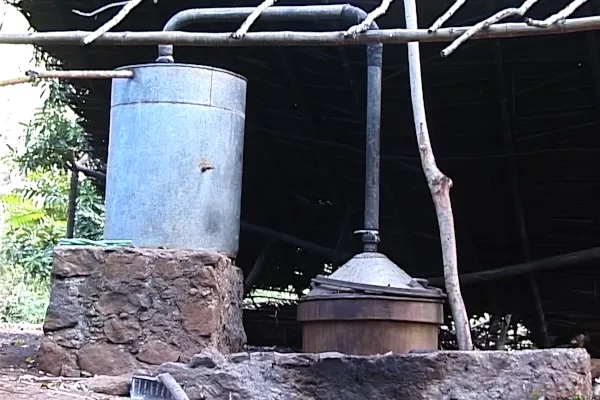 Distillerie aux Comores