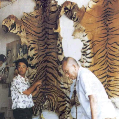 Commerce de peaux de tigres