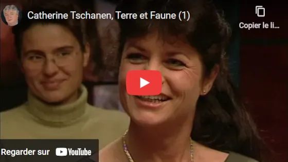 RTS - Zig zag café (I) sur YouTube